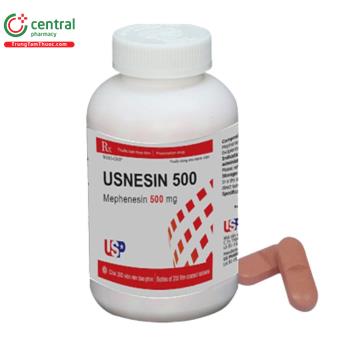 Usnesin 500