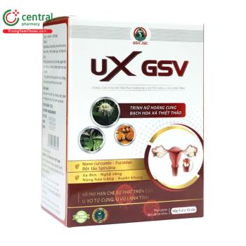 UX GSV