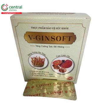 V-Ginsoft 