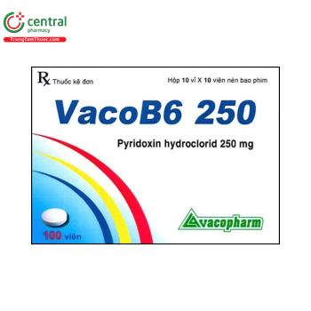 VacoB6 250