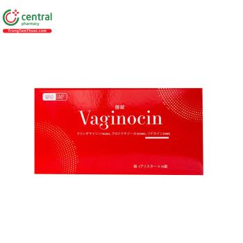 VAGINOCIN