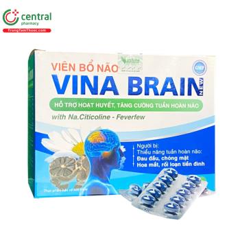 Viên bổ não Vina Brain New