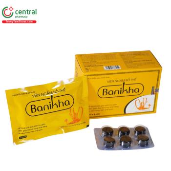 Viên Ngậm Bổ Phế Banikha