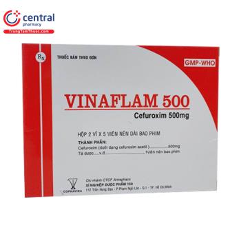 Vinaflam 500