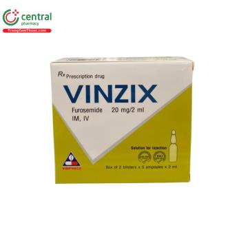 Vinzix