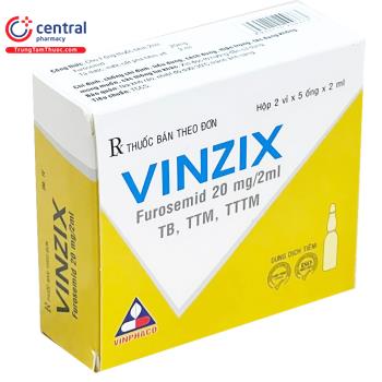 Vinzix