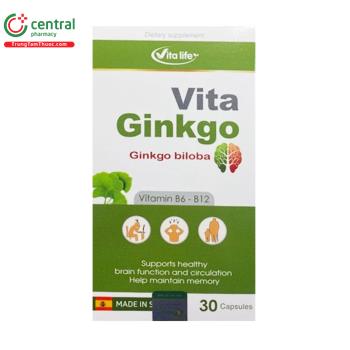 Vita Ginkgo 
