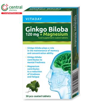 Vitaday Ginkgo Biloba 120mg + Magnesium