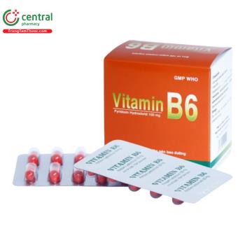 Vitamin B6 100mg Bidiphar