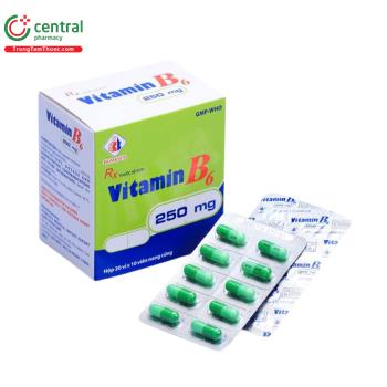 Vitamin B6 250mg Domesco