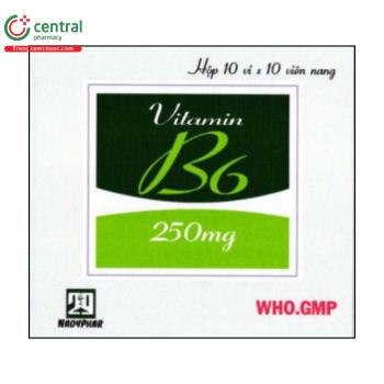Vitamin B6 250mg Nadyphar