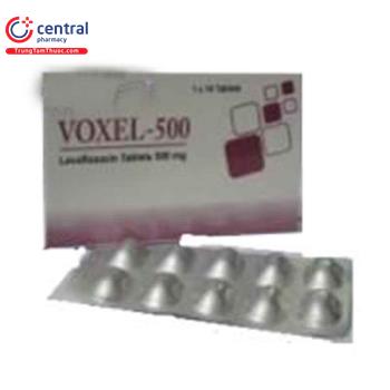Voxel-500
