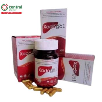 Xadoga 1