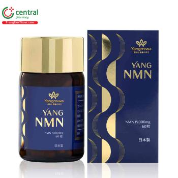 Yang NMN 15.000mg