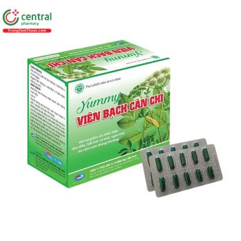Yummy Viên Bạch Căn Chỉ