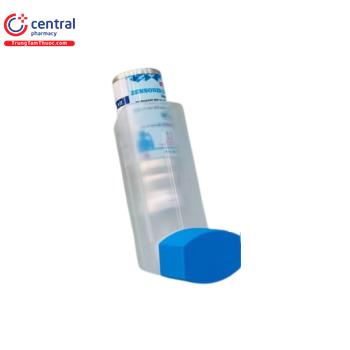 Thuốc Zensonid 200 inhaler - Cải thiện tình trạng sức khỏe trong bệnh ...