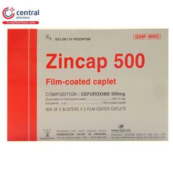 Zincap 500