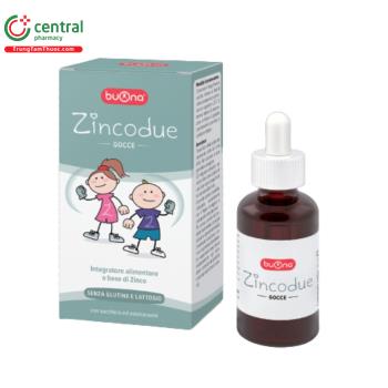 Zincodue