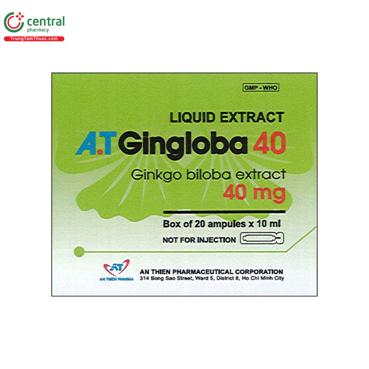 thuoc a t gingloba 40 1 O5753