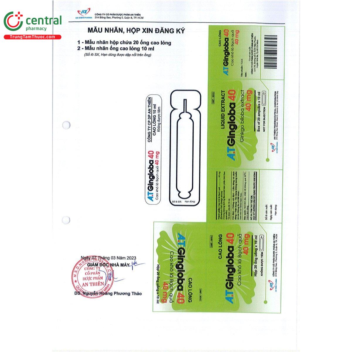 thuoc a t gingloba 40 2 P6730