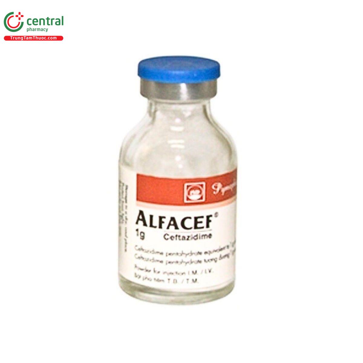 thuoc alfacef 1g 2 V8103 thuoc alfacef 1g 2 V8103