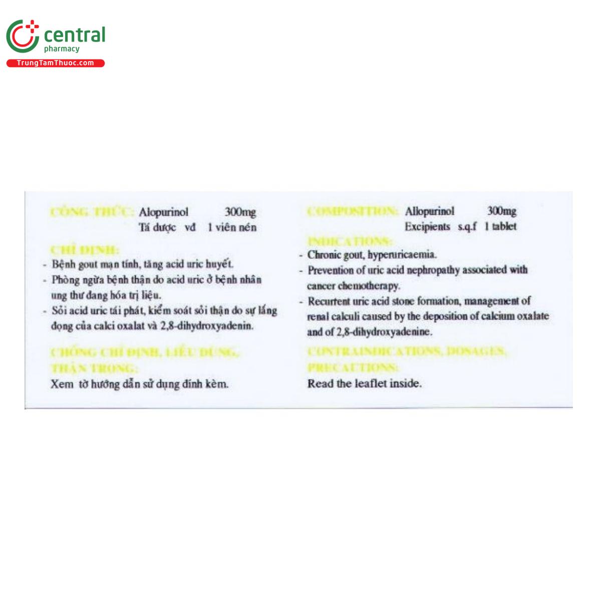 thuoc allopurinol 300mg nadyphar 3 Q6407