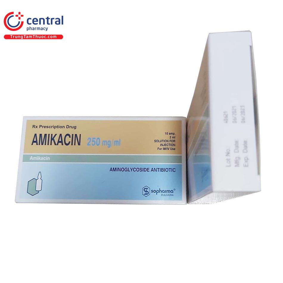 thuoc amikacin 250mgml sopharma 4 V8003