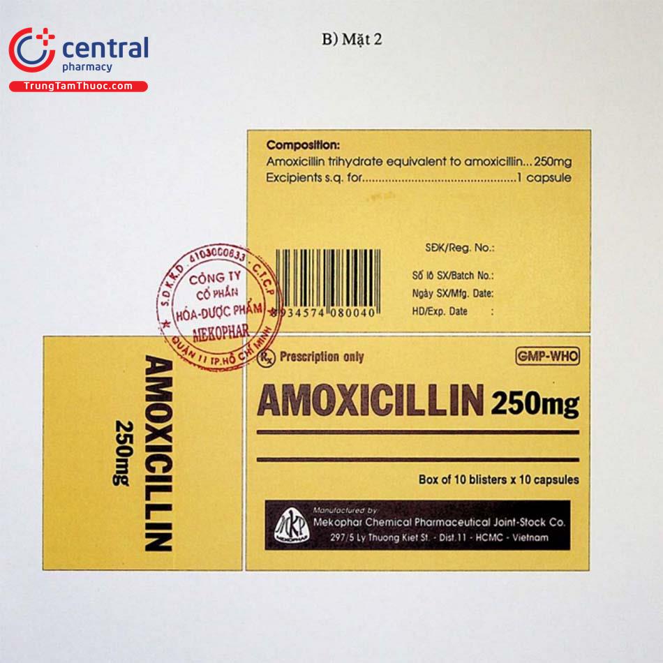thuoc amoxicillin 250mg mekophar 13 V8507