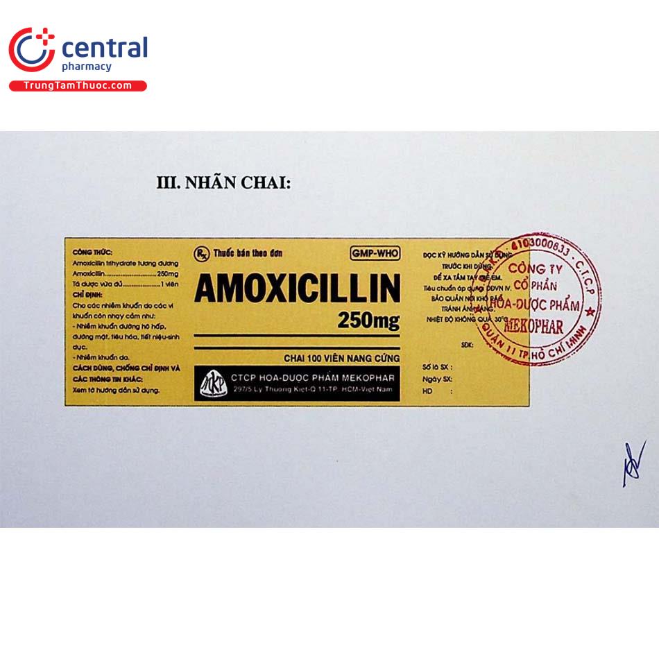 thuoc amoxicillin 250mg mekophar 15 G2741