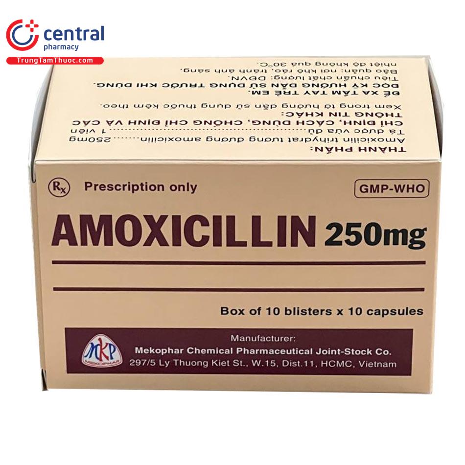 thuoc amoxicillin 250mg mekophar 3 M4103