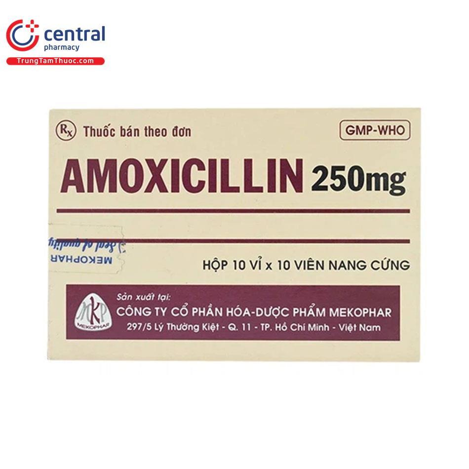 thuoc amoxicillin 250mg mekophar 5 F2135