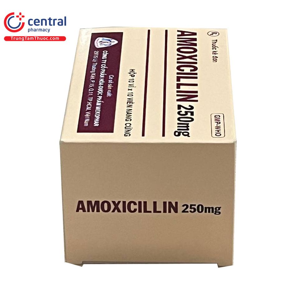 thuoc amoxicillin 250mg mekophar 6 T7002