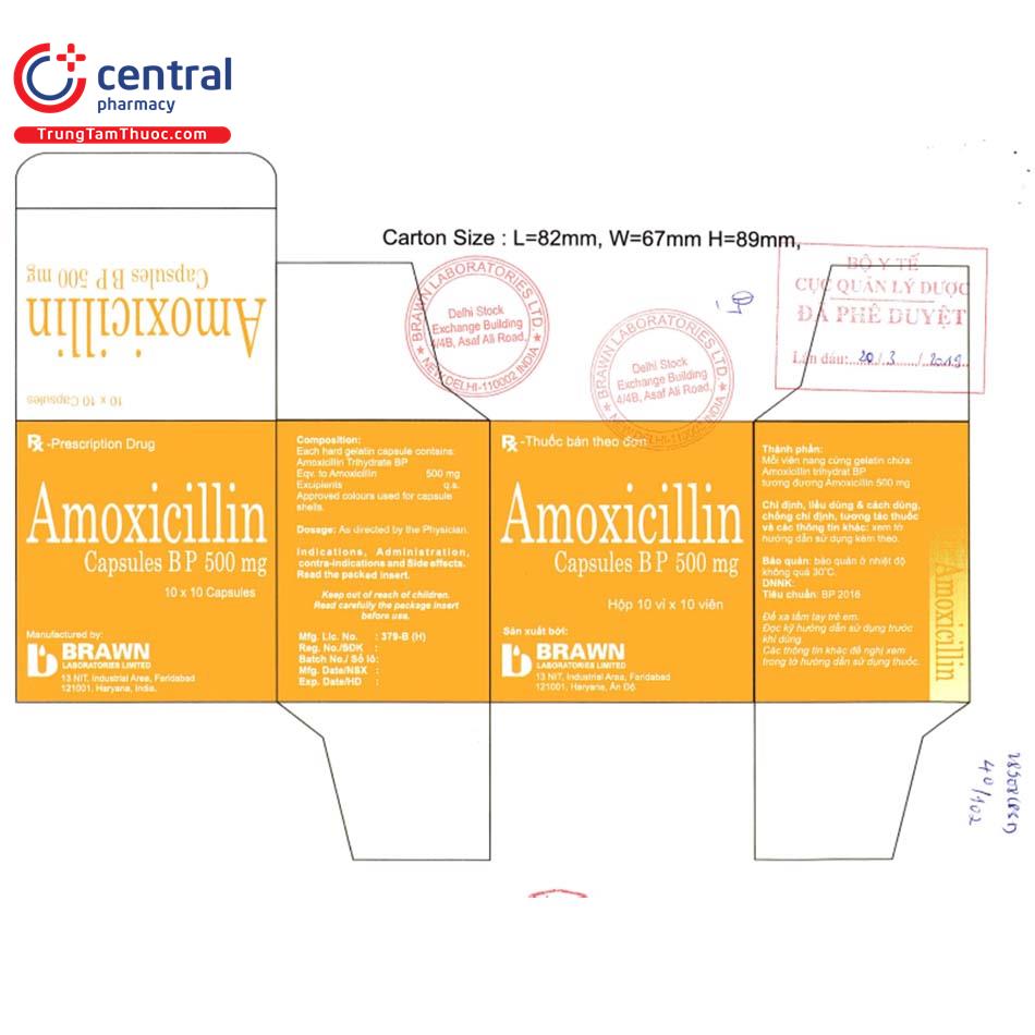 thuoc amoxicillin capsules bp 500mg brawn 10 M5101