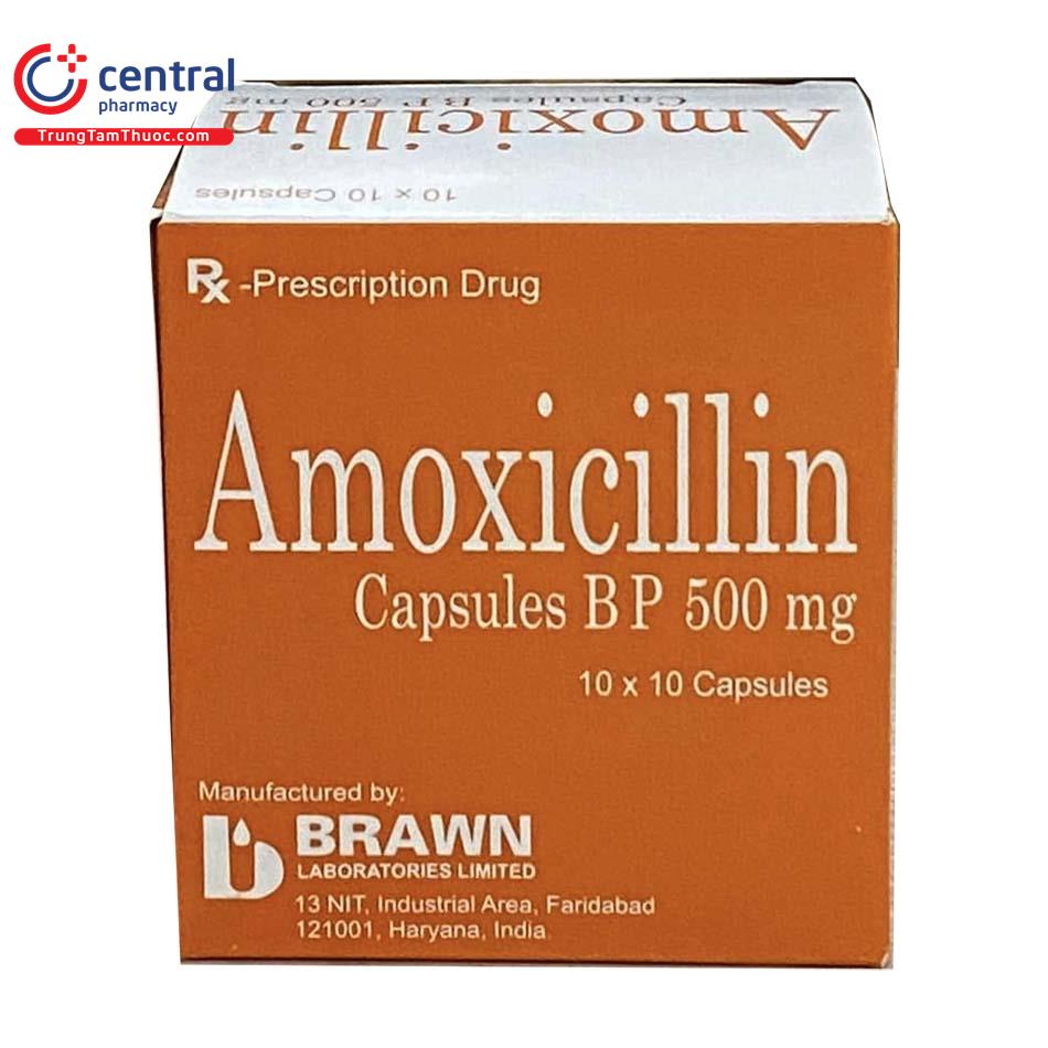 thuoc amoxicillin capsules bp 500mg brawn 2 F2180