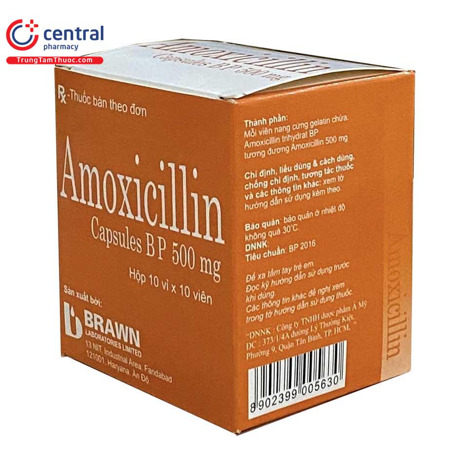 thuoc amoxicillin capsules bp 500mg brawn 4 H3366