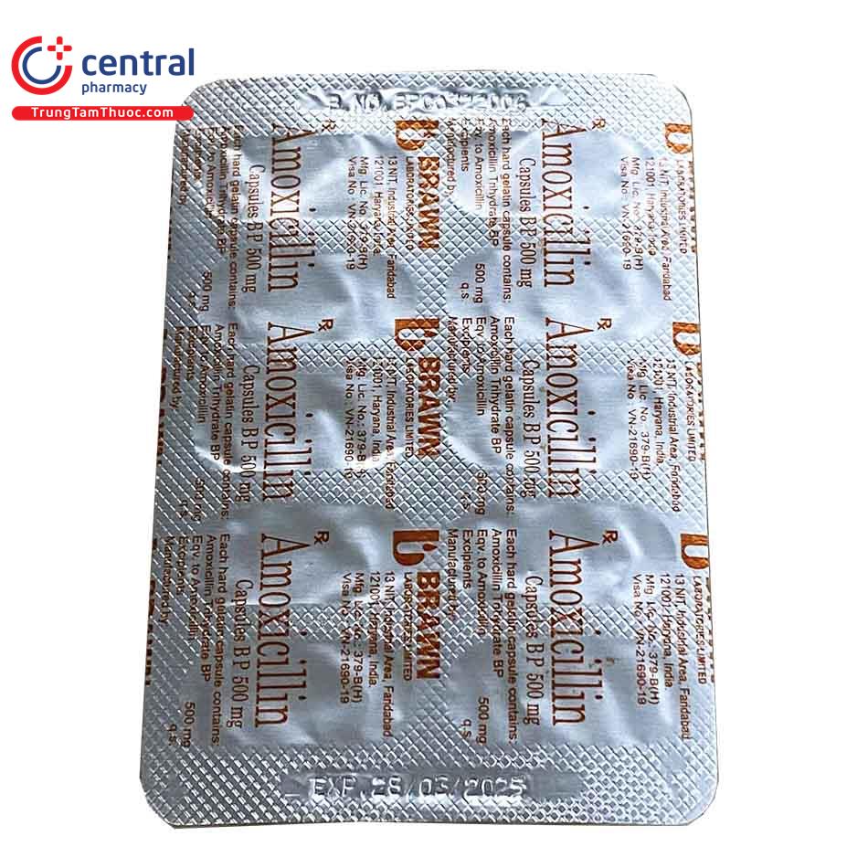 thuoc amoxicillin capsules bp 500mg brawn 8 C1310