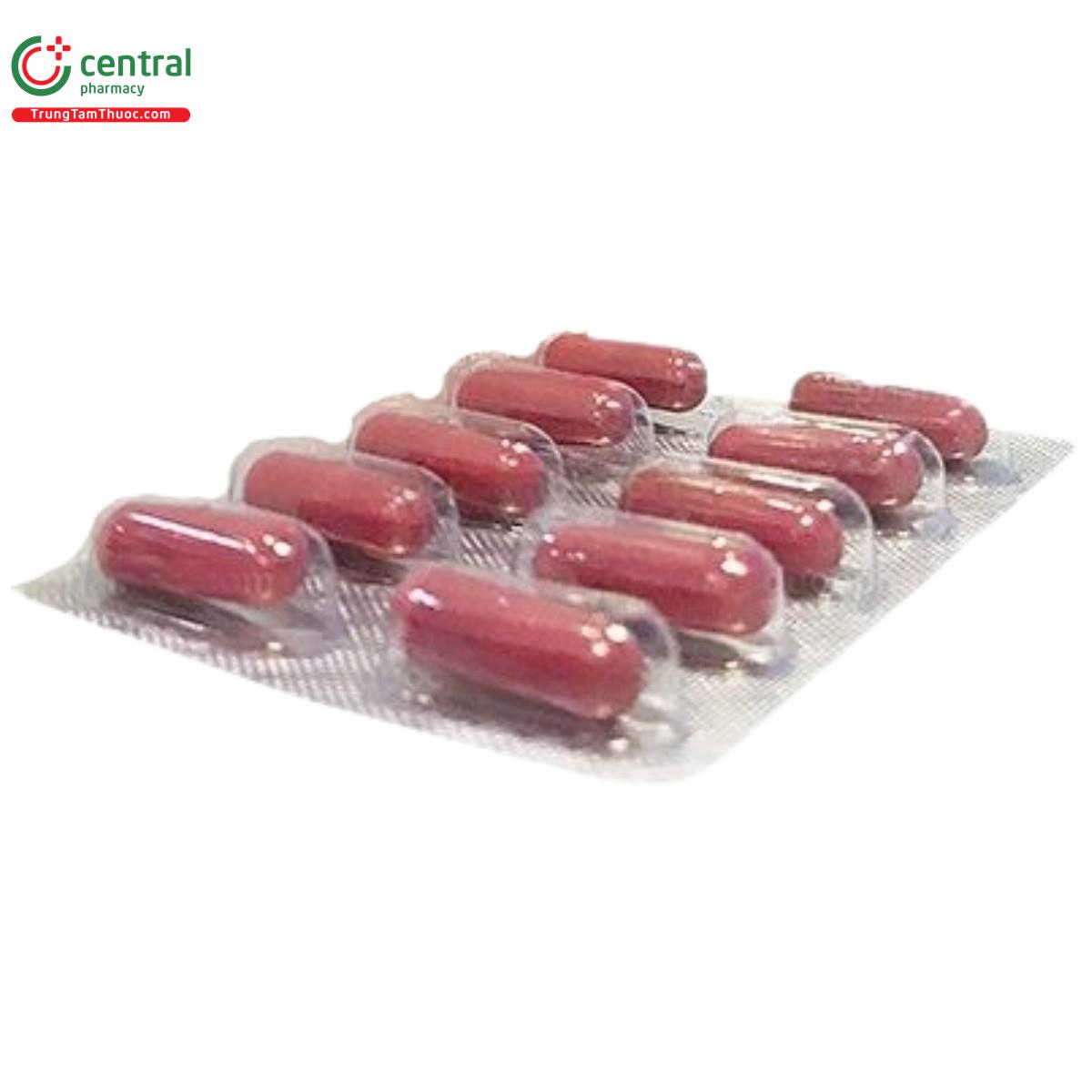 thuoc amp ginine 200mg 1 M5325 thuoc amp ginine 200mg 1 M5325