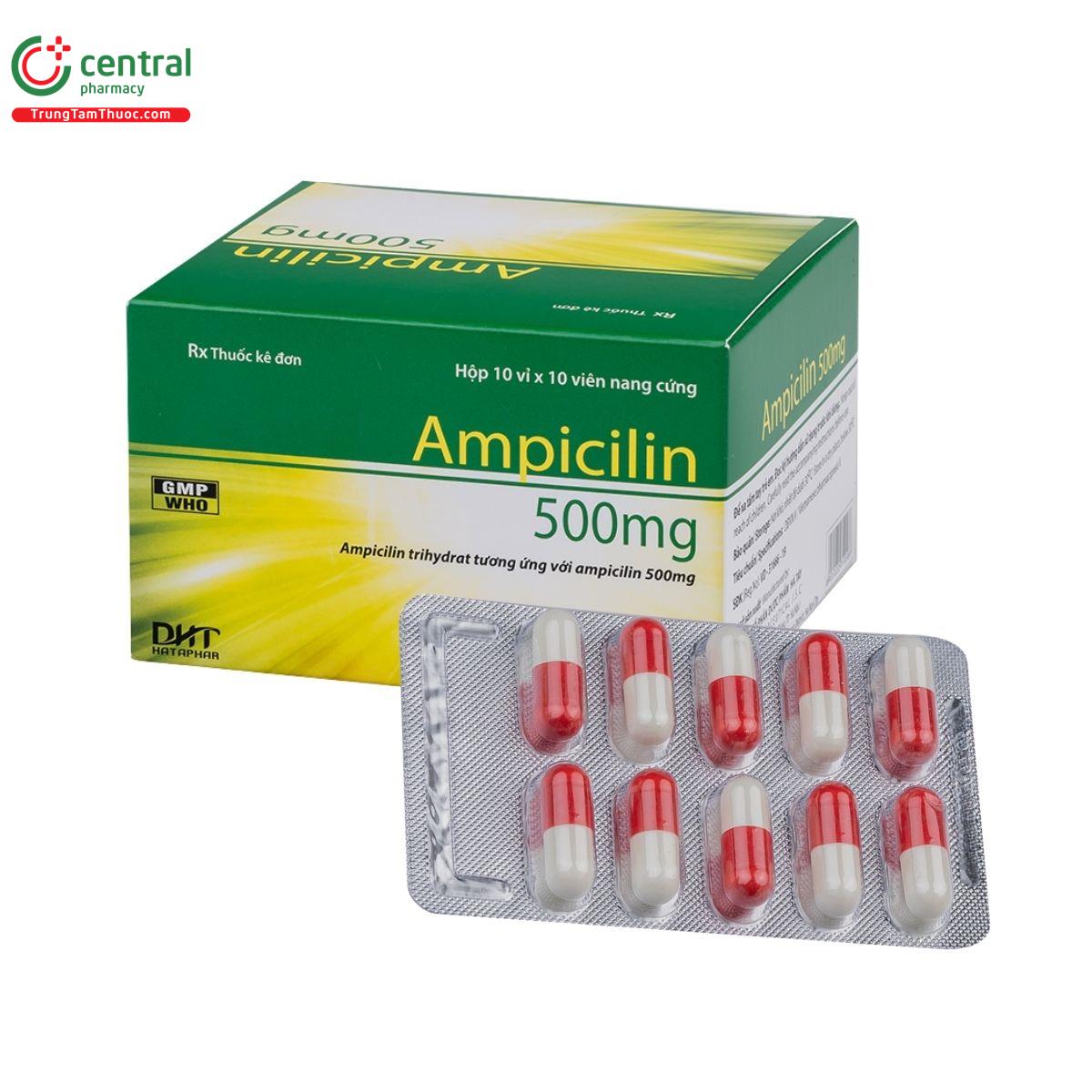 thuoc ampicilin 500mg hataphar 1 U8664 thuoc ampicilin 500mg hataphar 1 U8664