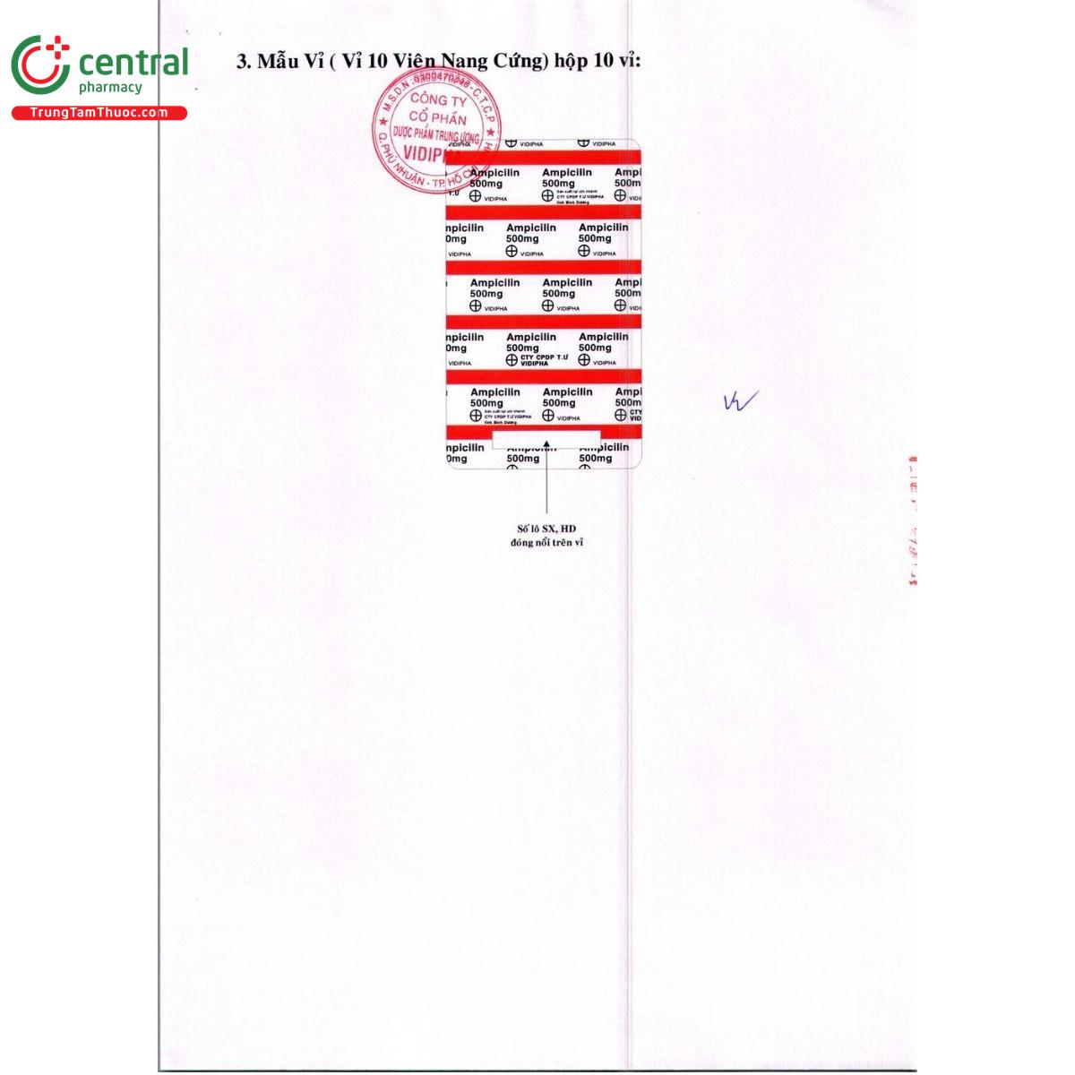 thuoc ampicilin 500mg vidipha 11 U8761 thuoc ampicilin 500mg vidipha 11 U8761