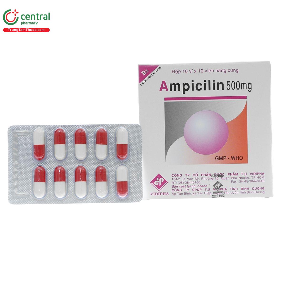 thuoc ampicilin 500mg vidipha 2 M4231 thuoc ampicilin 500mg vidipha 2 M4231