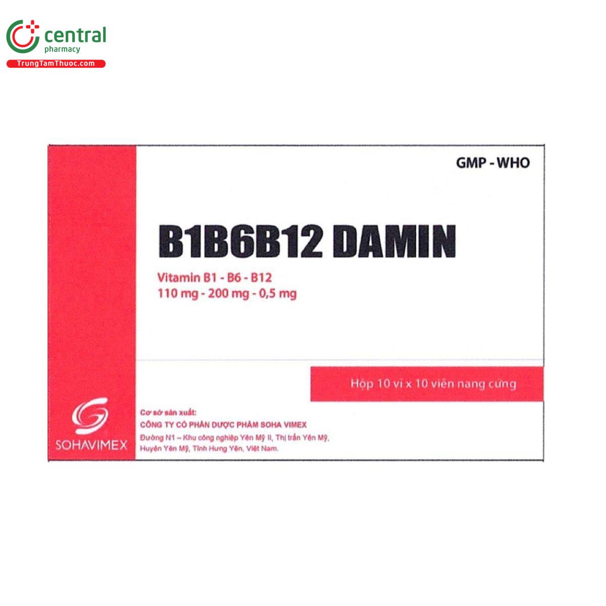 thuoc b1b6b12 damin 11 T8711