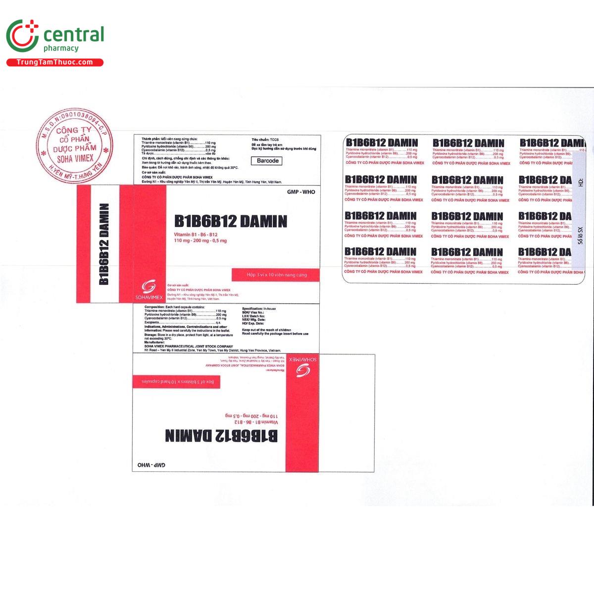thuoc b1b6b12 damin 3 C0868