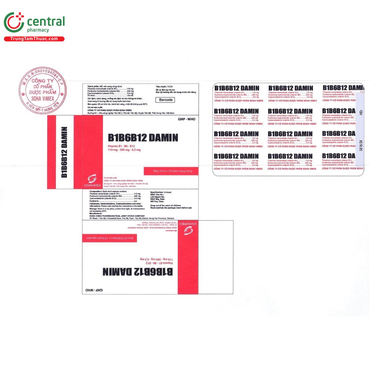 thuoc b1b6b12 damin G2328