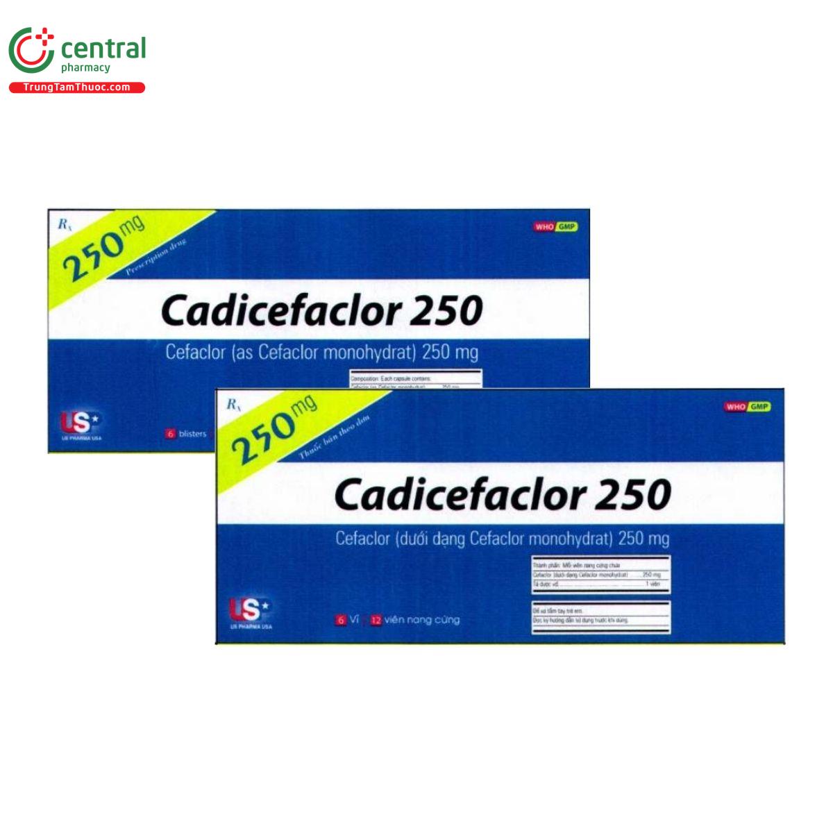 thuoc cadicefaclor 250 3 B0255 thuoc cadicefaclor 250 3 B0255