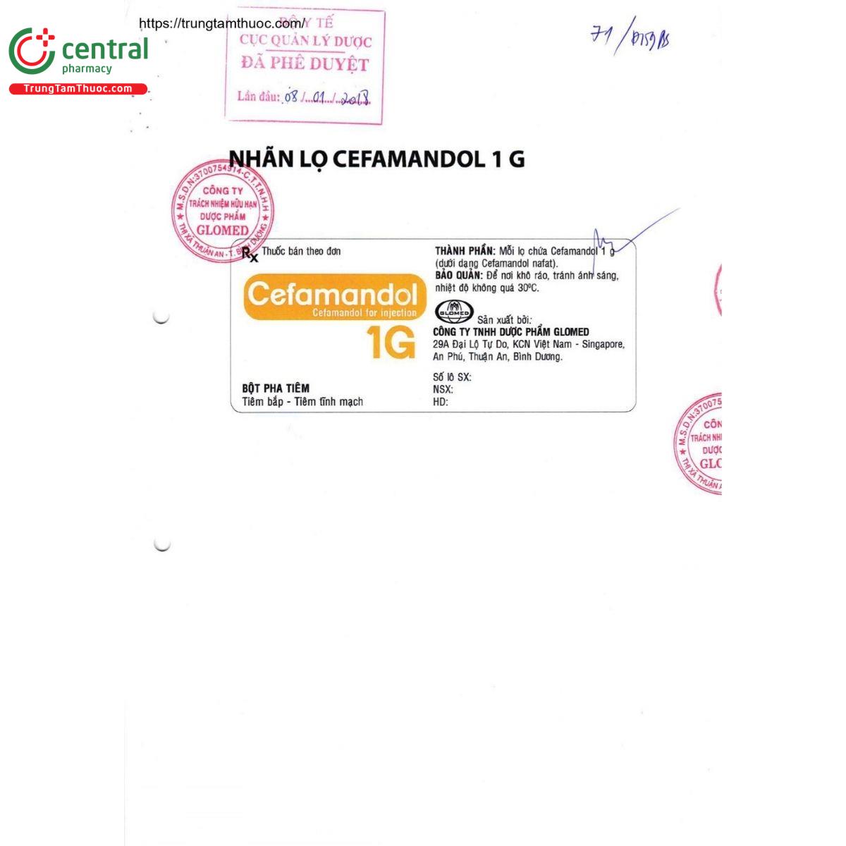 thuoc cefamandol 1g glomed 3 B0312