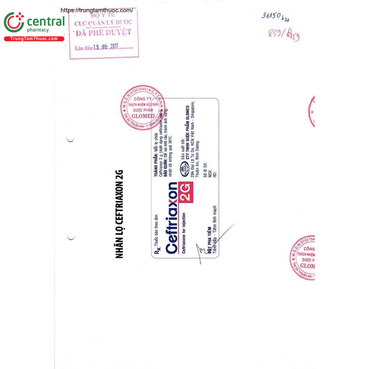 thuoc ceftriaxon 2g glomed 3 V8361 thuoc ceftriaxon 2g glomed 3 V8361