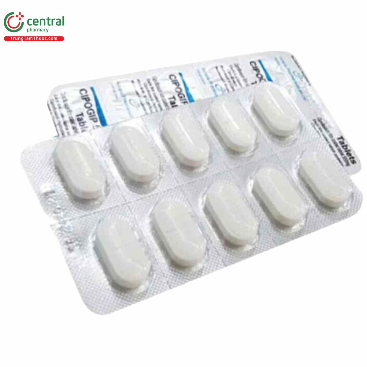 thuoc cipogip 500 tablet 2 Q6270