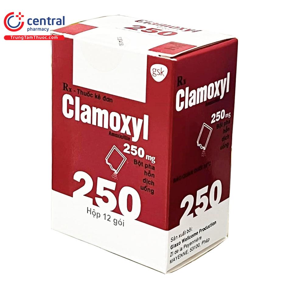 thuoc clamoxyl 250mg 3 L4331