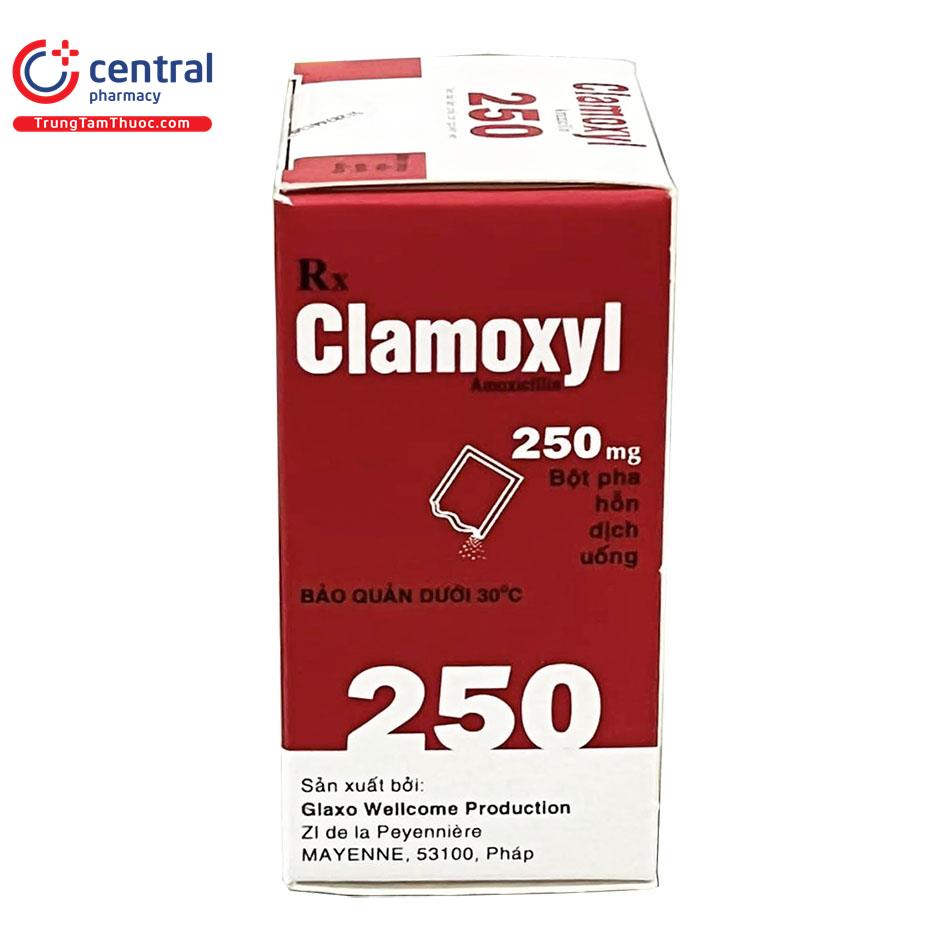thuoc clamoxyl 250mg 5 N5514