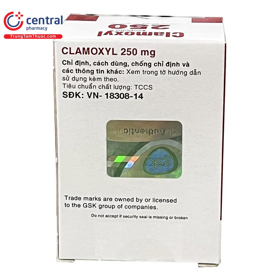 thuoc clamoxyl 250mg 8 R7546